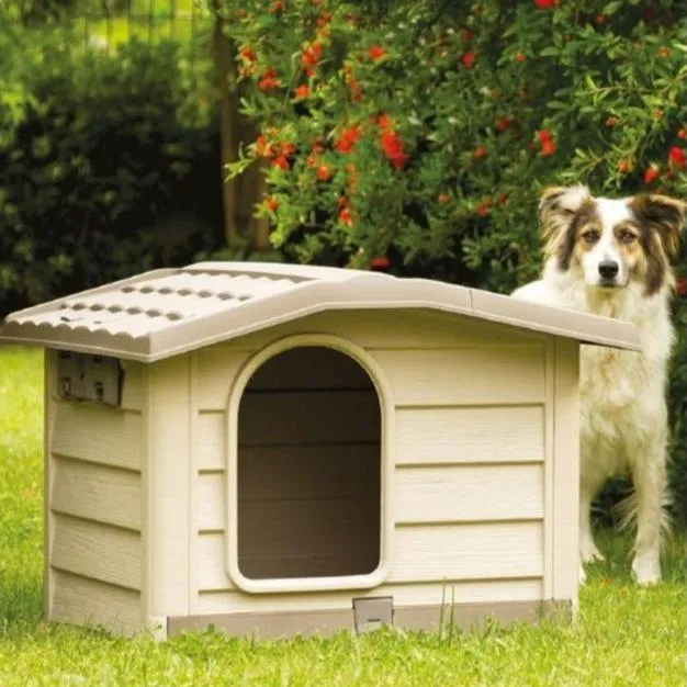 Dog House Bungalow